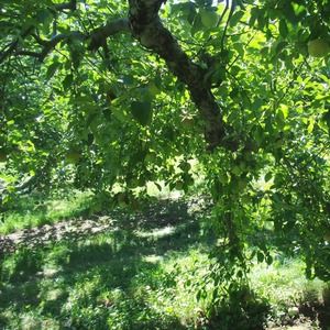 Meet your Posher, Kariann